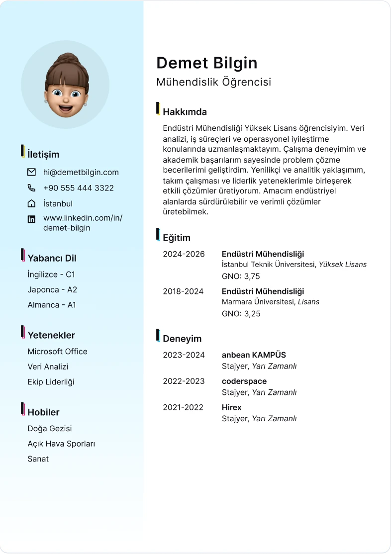 cv örneği